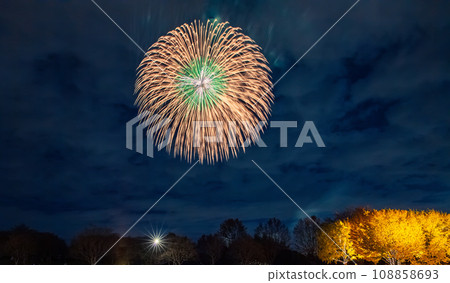 Illuminated ginkgo trees and fireworks at Showa Kinen Park 108858693