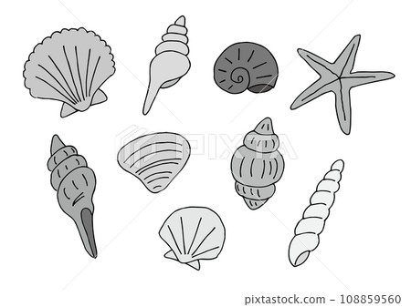 貝殼插圖集（手繪）灰階 108859560