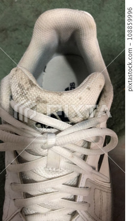 soiled shoes soiled shoes 108859996