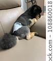 狗狗 108860018