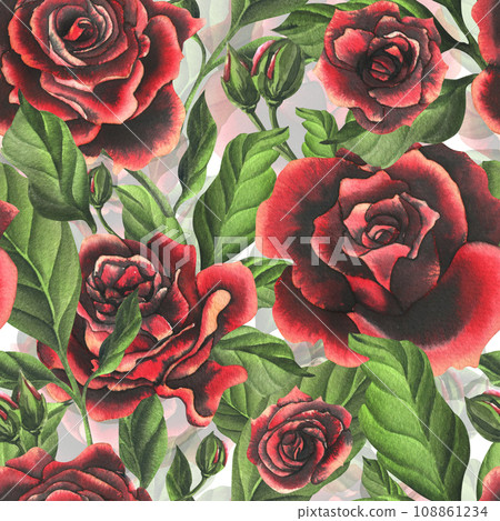 Red-black rose flowers with green leaves and buds, chic, bright, beautiful. Hand drawn watercolor illustration. Seamless pattern on a white background, for decoration and design. 108861234