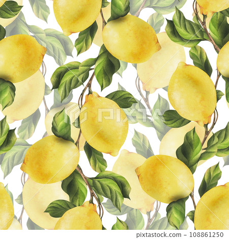 Lemons are yellow, juicy, ripe with green leaves, flower buds on the branches, whole and slices. Watercolor, hand drawn botanical illustration. Seamless pattern on a white background. Lemons are yellow, juicy, ripe with green leaves, flower buds on the branches, whole and slices. Watercolor, hand drawn botanical illustration. Seamless pattern on a white background. 108861250