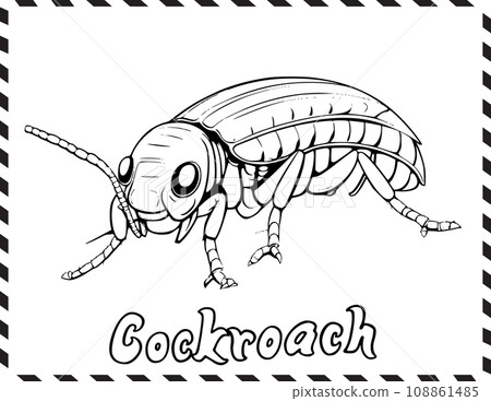 Cockroach Coloring Page for Kids 108861485