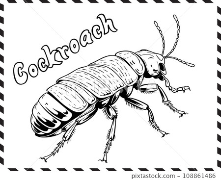 Cockroach Coloring Page for Kids 108861486