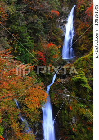 [Hyogo Prefecture] Hara Fudo Falls with autumn leaves 108861908