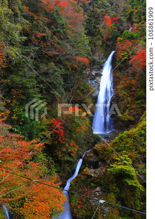 [兵庫縣]原不動瀑布紅葉 108861909