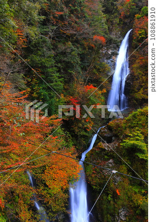 [兵庫縣]原不動瀑布紅葉 108861910