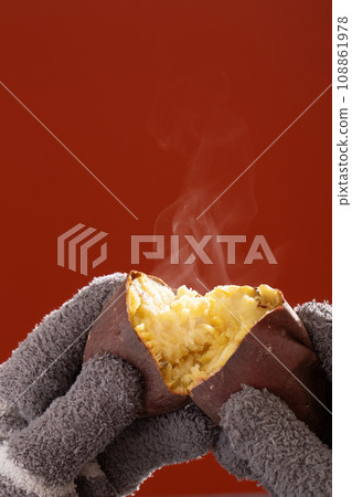 烤地瓜 地瓜 108861978