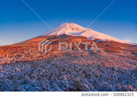 (Shizuoka Prefecture) Mt. Fuji seen from the snowy Mizugatsuka Park and Koshikiridzuka Observation Deck 108862323