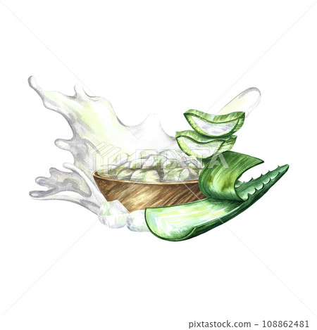 Aloe vera. Hand-drawn watercolor illustration. A leaf of aloe vera, slices of aloe and a wooden cup with pieces of aloe. Isolate. For packaging cosmetics and medicines. For banners, posters and flyers Aloe vera. Hand-drawn watercolor illustration. A leaf of aloe vera, slices of aloe and a wooden cup with pieces of aloe. Isolate. For packaging cosmetics and medicines. For banners, posters and flyers 108862481