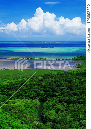 Iriomote Island, Okinawa Prefecture, looking towards Hatoma Island from Pinaisara Falls 108862850