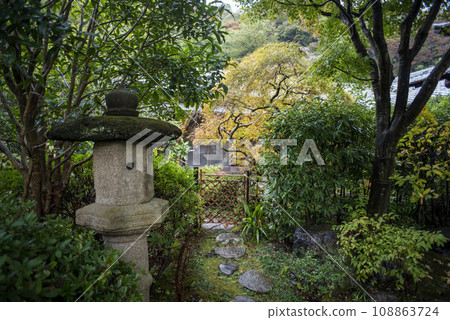 鎌倉 11 月 三則寺 4 鎌倉 11 月 三則寺 4 108863724