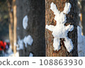 snowman stuck on a tree 108863930