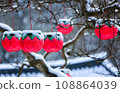pink paper lanterns  on the tree 108864039