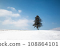 beautiful outdoor nature landscape with alone christmass tree in snow winter weather season 108864101
