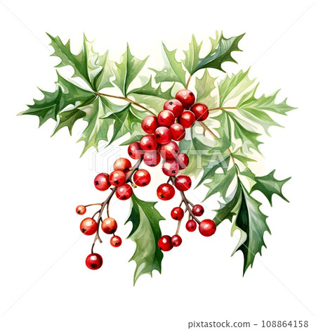 Fresh green mistletoe with bright berries, perfect for festive christmas decoration Fresh green mistletoe with bright berries, perfect for festive christmas decoration 108864158