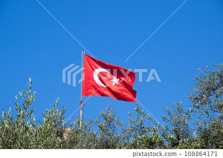 Turkish flag against the blue sky and tops of the trees. Turkish flag against the blue sky and tops of the trees. 108864171
