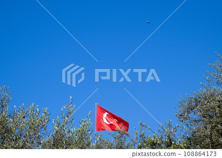 Turkish flag against the blue sky and tops of the trees. Turkish flag against the blue sky and tops of the trees. 108864173