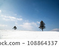 beautiful outdoor nature landscape with alone christmass tree in snow winter weather season 108864337