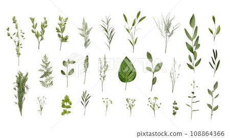 Collection of fresh spices and herbs isolated on white background Collection of fresh spices and herbs isolated on white background 108864366