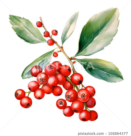 Vibrant red holly berries with lush green leaves, a symbol of Christmas cheer, watercolor illustration on white background 108864377
