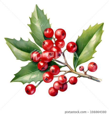 Vibrant red holly berries with lush green leaves, a symbol of Christmas cheer, watercolor illustration on white background 108864380