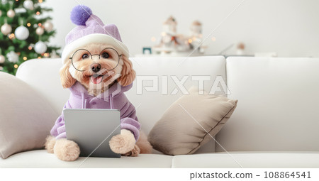 Cute dog with laptop on sofa at home. 108864541