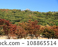 Matsuyama Castle seen from Shiroyama Park with autumn leaves 108865514