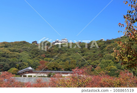 Matsuyama Castle seen from Shiroyama Park with autumn leaves 108865519