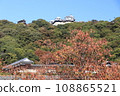 Matsuyama Castle seen from Shiroyama Park with autumn leaves 108865521