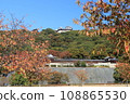 Matsuyama Castle in autumn leaves seen from Shiroyama Park 108865530