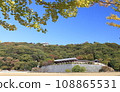 Matsuyama Castle of Autumn seen from Shiroyama Park 108865531