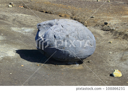 Spindle-shaped volcanic bomb (commonly known as "dinosaur egg") Aso/Sunasenrigahama 108866231
