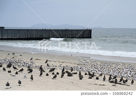 A fence on the United States - Mexico border where it meets the Pacific Ocean in Border Field State Park Beach A fence on the United States - Mexico border where it meets the Pacific Ocean in Border Field State Park Beach 108868242