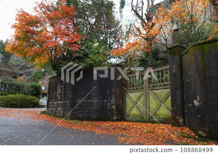 In front of the Kurihara residence in autumn leaves (Yamashina Ward, Kyoto City) In front of the Kurihara residence in autumn leaves (Yamashina Ward, Kyoto City) 108868499