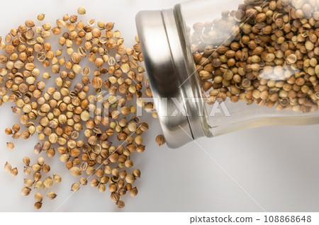 Coriander seeds are in a spice jar. 108868648