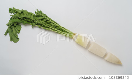 蘿蔔切成部分(葉、根部、中間、尖端) 蘿蔔切成部分(葉、根部、中間、尖端) 108869243