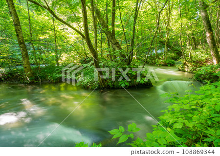 (青森縣)深綠色的奧入瀨溪流,靠近阿修羅流 (青森縣)深綠色的奧入瀨溪流,靠近阿修羅流 108869344