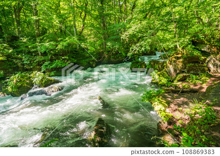 （青森縣）深綠色的奧入瀨溪流，靠近阿修羅流 108869383
