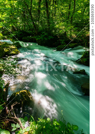 (Aomori Prefecture) Deep green Oirase Stream, near the Asura flow 108869390