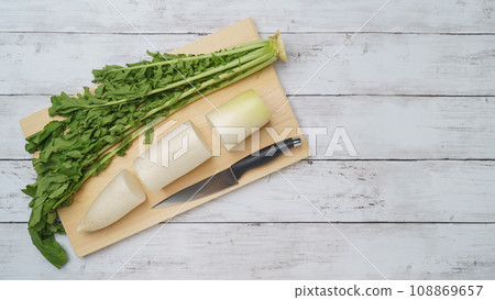 Radish cut into parts (leaves, base, middle, tip) Radish cut into parts (leaves, base, middle, tip) 108869657