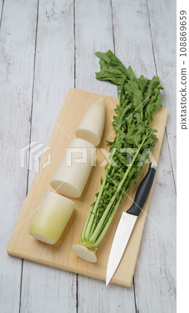 Radish cut into parts (leaves, base, middle, tip) 108869659