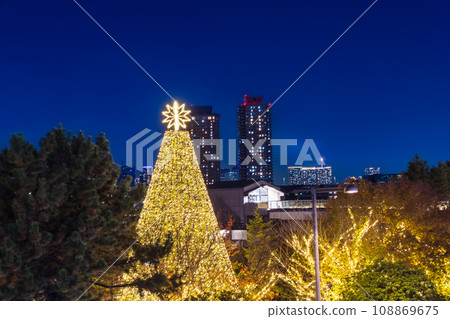 Illumination of Odaiba Tokyo night view 108869675