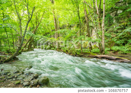 (Aomori Prefecture) Deep green Oirase Stream, Choshi Otaki Falls 108870757