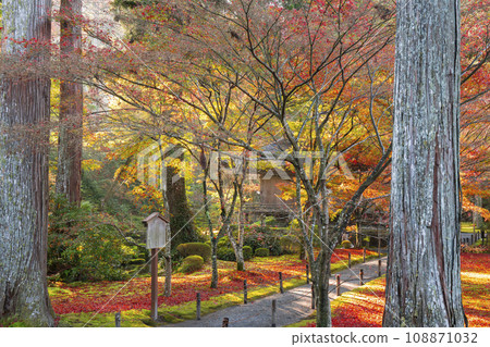 Ohara Sanzen-in, Kyoto with beautiful autumn leaves; Ojo Gokuraku-in seen from the shrine hall 108871032