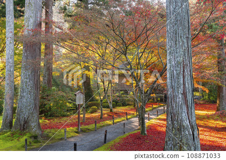 Ohara Sanzen-in, Kyoto with beautiful autumn leaves; Ojo Gokuraku-in seen from the shrine hall Ohara Sanzen-in, Kyoto with beautiful autumn leaves; Ojo Gokuraku-in seen from the shrine hall 108871033