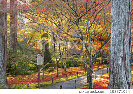 Ohara Sanzen-in, Kyoto with beautiful autumn leaves; Ojo Gokuraku-in seen from the shrine hall 108871034