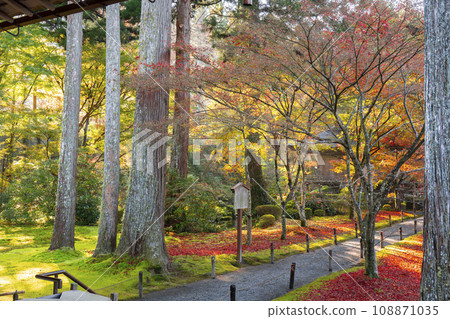 Ohara Sanzen-in, Kyoto with beautiful autumn leaves; Ojo Gokuraku-in seen from the shrine hall Ohara Sanzen-in, Kyoto with beautiful autumn leaves; Ojo Gokuraku-in seen from the shrine hall 108871035