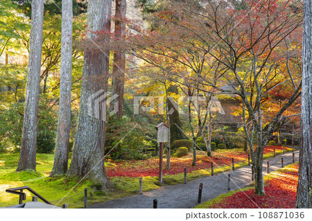 京都大原三千院，秋葉美麗；從神社大廳看到大條極樂院 108871036