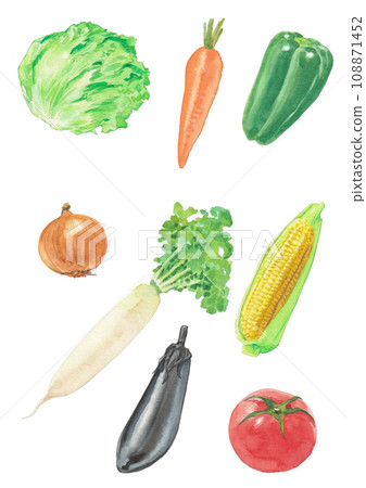 watercolor fresh vegetables watercolor fresh vegetables 108871452